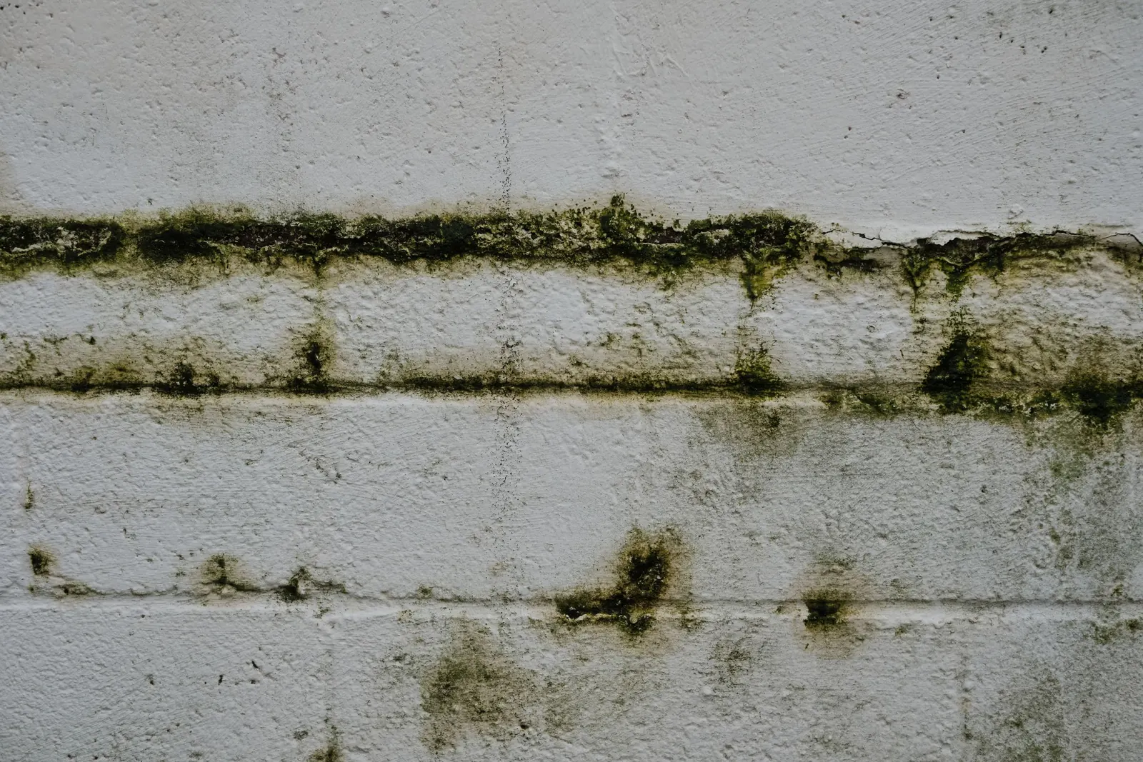 Mur en parpaings marqué par l'humidité et des traces de moisissure